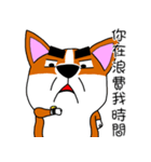 Thick eyebrows corgi's daily life（個別スタンプ：35）