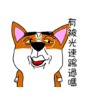 Thick eyebrows corgi's daily life（個別スタンプ：39）