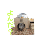 いけださんち（個別スタンプ：12）