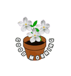 blooming flowers for greeting（個別スタンプ：10）