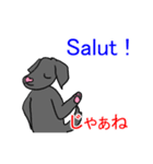 黒い犬から一言 02（個別スタンプ：12）