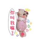 King baby dog（個別スタンプ：6）