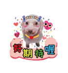 King baby dog（個別スタンプ：7）