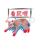 King baby dog（個別スタンプ：8）