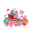 King baby dog（個別スタンプ：13）