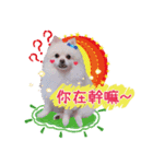 King baby dog（個別スタンプ：15）