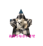 朝から可愛い愛犬（個別スタンプ：4）