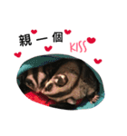 Sugarglider IN MY LIFE（個別スタンプ：15）