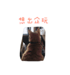 ChuTzMeow（個別スタンプ：6）