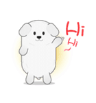 A lazy white puppy's daily greetings.（個別スタンプ：1）