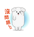 A lazy white puppy's daily greetings.（個別スタンプ：7）