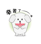 A lazy white puppy's daily greetings.（個別スタンプ：17）