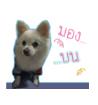 Dollar little dog（個別スタンプ：2）