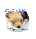 犬ちゃんたち（個別スタンプ：29）