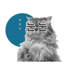 Yen Yen Cat Emoji-icons（個別スタンプ：8）