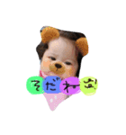 kiababy（個別スタンプ：6）