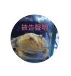 law of frog part1（個別スタンプ：3）