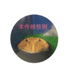 law of frog part1（個別スタンプ：8）