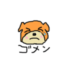 柴犬 ちびちゃん（個別スタンプ：5）