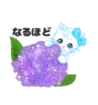ハワイのお花大好き白猫ちゃん日常敬語（個別スタンプ：6）