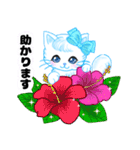 ハワイのお花大好き白猫ちゃん日常敬語（個別スタンプ：37）