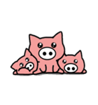 White nose pigs2（個別スタンプ：9）