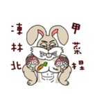 Funny rabbit - Internet language（個別スタンプ：2）