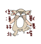 Funny rabbit - Internet language（個別スタンプ：15）