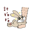 Funny rabbit - Internet language（個別スタンプ：17）