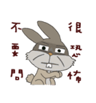 Funny rabbit - Internet language（個別スタンプ：19）