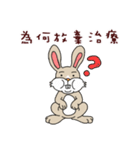 Funny rabbit - Internet language（個別スタンプ：21）