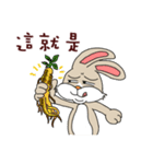 Funny rabbit - Internet language（個別スタンプ：22）