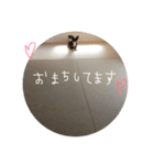 チョコタンチワワ（個別スタンプ：1）