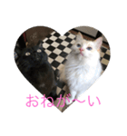 ramuran love3（個別スタンプ：8）