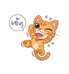 Kampeay cat（個別スタンプ：13）