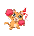 Kampeay cat（個別スタンプ：16）