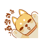 shiba inu life-Mengtai Ji（個別スタンプ：24）