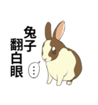 roll animals' eyes（個別スタンプ：16）