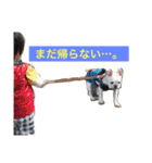 フレンチブル犬☆ナーティの日常（個別スタンプ：20）