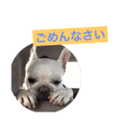 フレンチブル犬☆ナーティの日常（個別スタンプ：33）