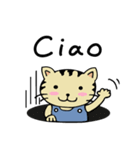 I am Topycat（個別スタンプ：23）