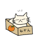 【手書き風】猫乃丸の生活（個別スタンプ：5）