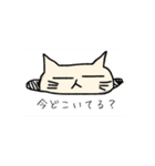 【手書き風】猫乃丸の生活（個別スタンプ：11）