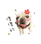 Yorkshire Do ＆ French Bulldog Du（個別スタンプ：18）