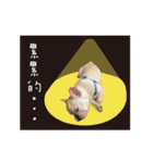 Yorkshire Do ＆ French Bulldog Du（個別スタンプ：24）