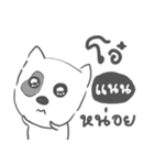 nan dog face（個別スタンプ：23）