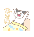 ゆるねこ よたとポポ（個別スタンプ：16）