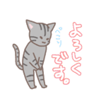 ゆるねこ よたとポポ（個別スタンプ：19）