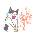 ゆるねこ よたとポポ（個別スタンプ：22）