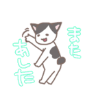 ゆるねこ よたとポポ（個別スタンプ：28）